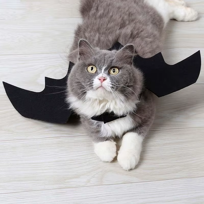 Creative Halloween Cute Pet Clothes Black Bat Wings Harness Costume Halloween Cosplay Cat Dog Halloween Party for Pet Supplies