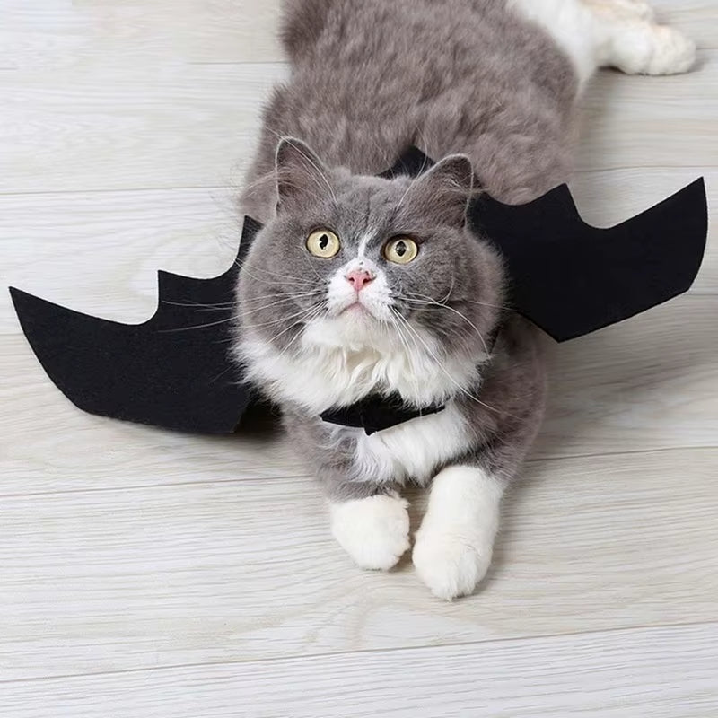 Creative Halloween Cute Pet Clothes Black Bat Wings Harness Costume Halloween Cosplay Cat Dog Halloween Party for Pet Supplies