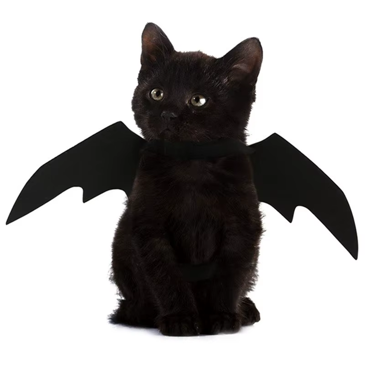 Creative Halloween Cute Pet Clothes Black Bat Wings Harness Costume Halloween Cosplay Cat Dog Halloween Party for Pet Supplies