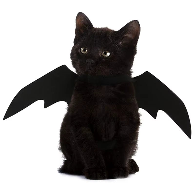 Creative Halloween Cute Pet Clothes Black Bat Wings Harness Costume Halloween Cosplay Cat Dog Halloween Party for Pet Supplies