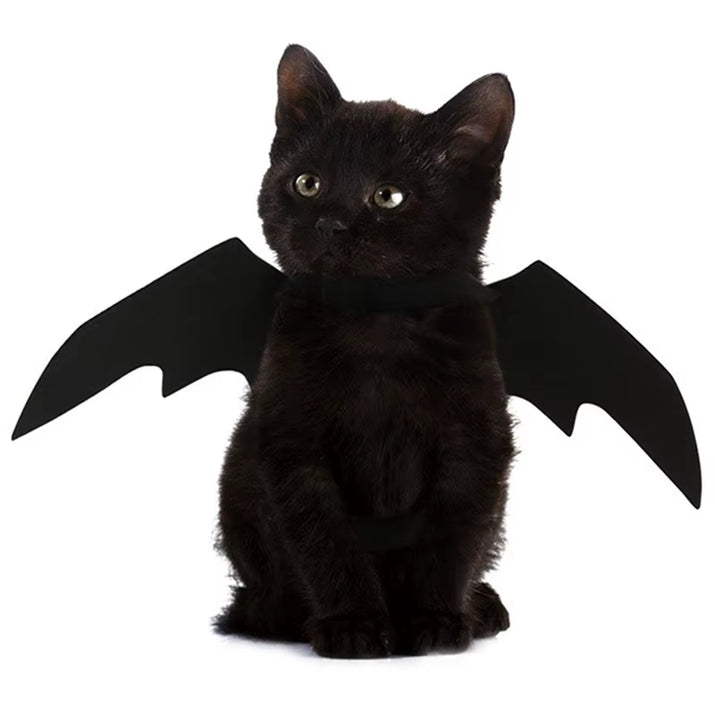 Creative Halloween Cute Pet Clothes Black Bat Wings Harness Costume Halloween Cosplay Cat Dog Halloween Party for Pet Supplies