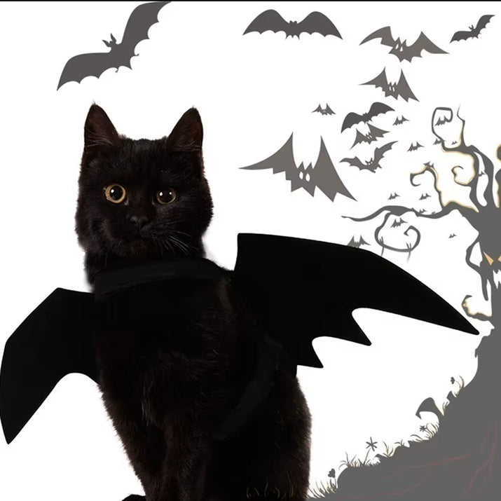 Creative Halloween Cute Pet Clothes Black Bat Wings Harness Costume Halloween Cosplay Cat Dog Halloween Party for Pet Supplies