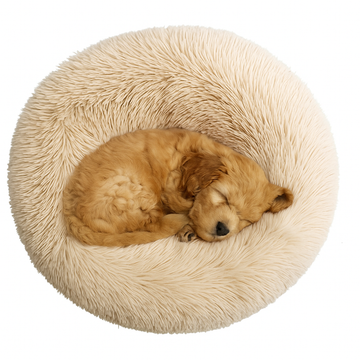 Transform Restless Nights into Peaceful Slumbers