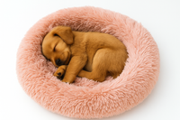 CloudComfort Dog Bed™