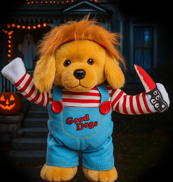 Halloween Pet Costume™